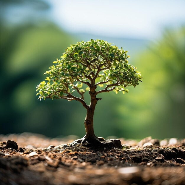 Alberi Forestali Artificiali