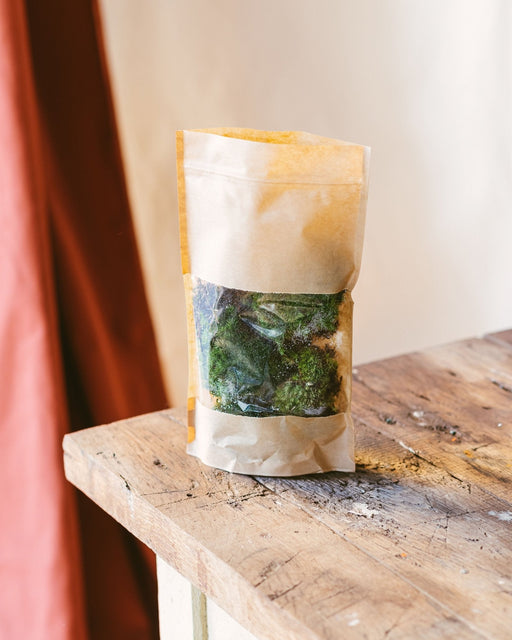 2 Sacchetti Da 3 Palline Di Muschio - Terrari