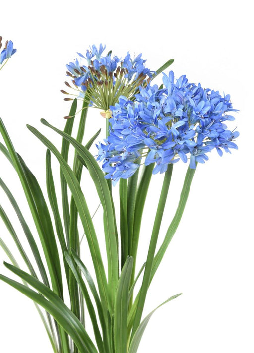 Pianta Da Interno Artificiale Agapanthus Blu Da 90 Cm