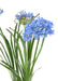 Pianta Da Interno Artificiale Agapanthus Blu Da 90 Cm