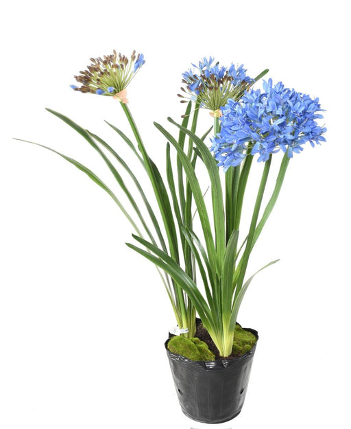 Pianta Da Interno Artificiale Agapanthus Blu Da 90 Cm