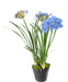 Pianta Da Interno Artificiale Agapanthus Blu Da 90 Cm