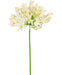 Agapanthus Artificiale Bianco