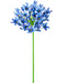 Agapanthus Blu Artificiale