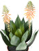 Agave Artificiale Da Fioritura In Vaso 50Cm Verde