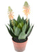 Agave Artificiale Da Fioritura In Vaso 50Cm Verde