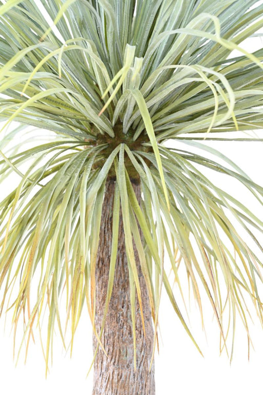 Agave Artificiale Gigante 240Cm In Vaso Decorazione D'interni