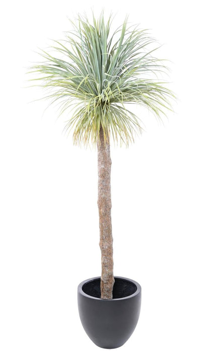 Agave Artificiale Gigante 240Cm In Vaso Decorazione D'interni