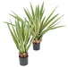 Agave Artificiale Indoor Outdoor 80Cm Verde Giallo