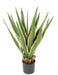 Agave Artificiale Indoor Outdoor 80Cm Verde Giallo