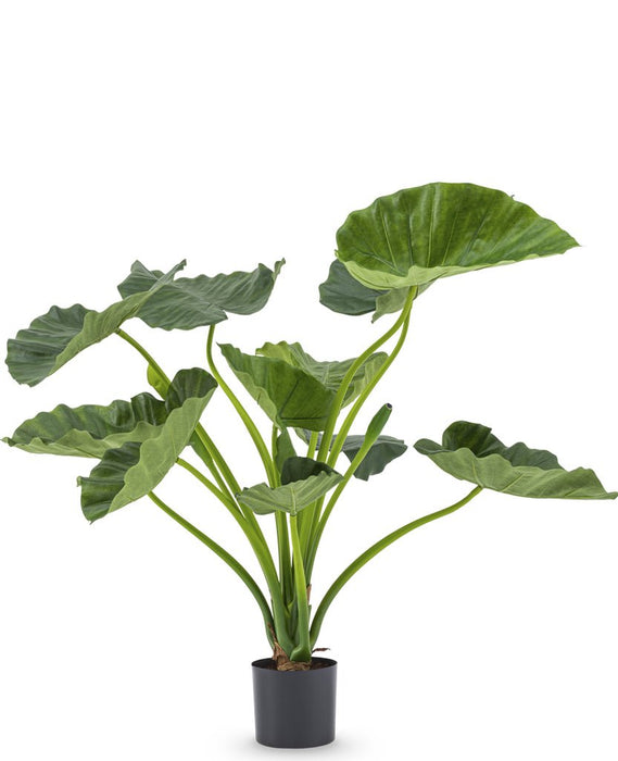 Alocasia Calioora - Pianta Verde Artificiale