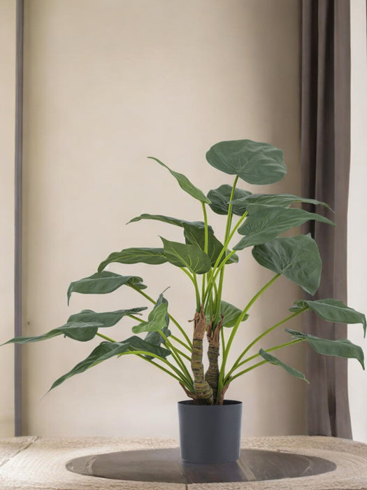 Alocasia Cucullata - Pianta Verde Artificiale