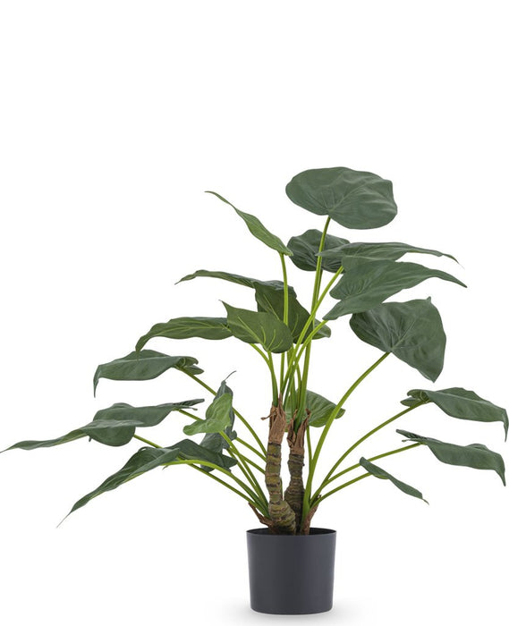 Alocasia Cucullata - Pianta Verde Artificiale