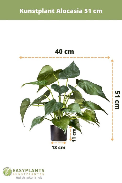 Alocasia - Pianta Verde Artificiale