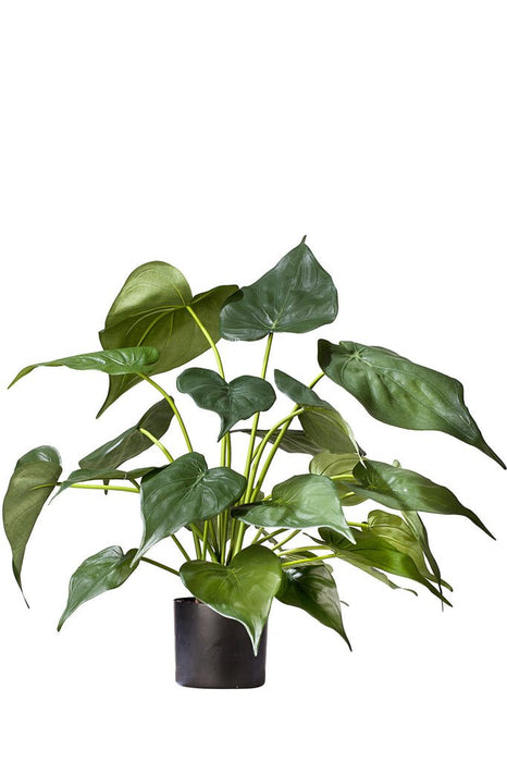Alocasia - Pianta Verde Artificiale