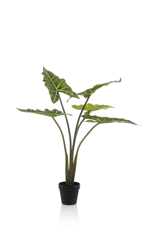 Alocasia Artificiale