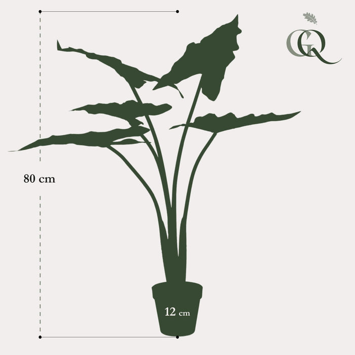 Alocasia Artificiale