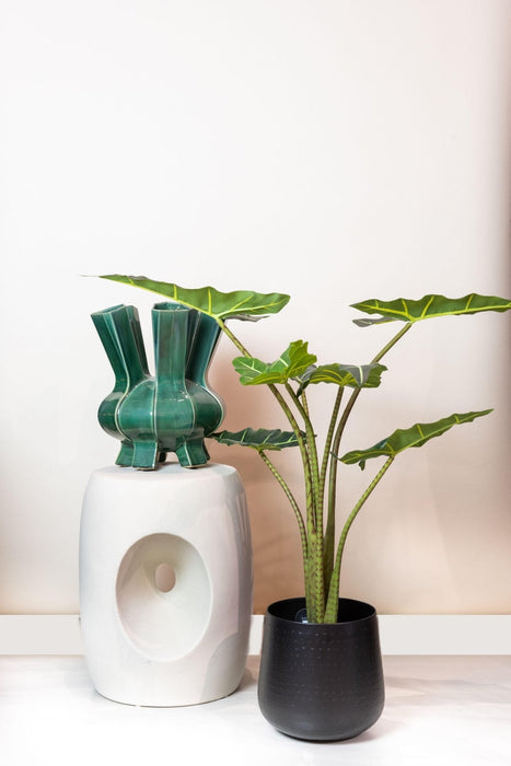 Alocasia Artificiale