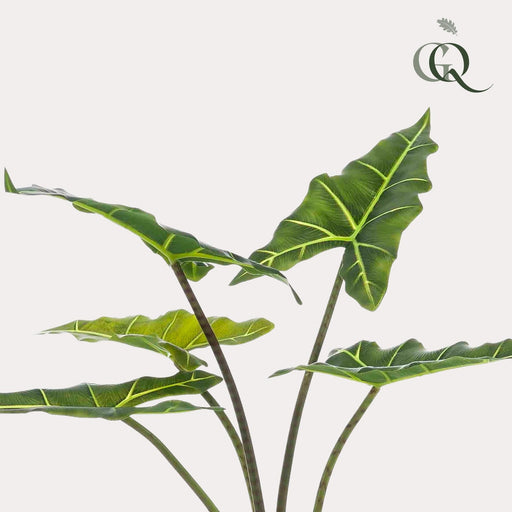 Alocasia Artificiale