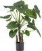 Alocasia - Grande Pianta Artificiale