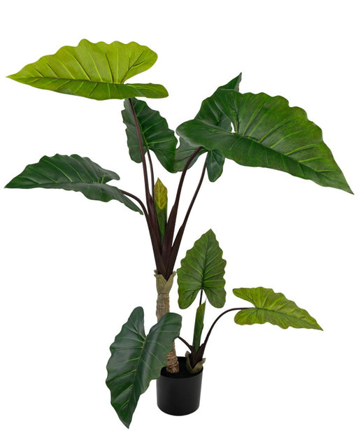 Alocasia - Grande Pianta Artificiale