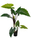 Alocasia - Grande Pianta Artificiale