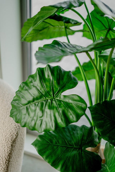 Alocasia - Grande Pianta Artificiale