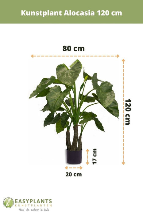Alocasia - Grande Pianta Artificiale