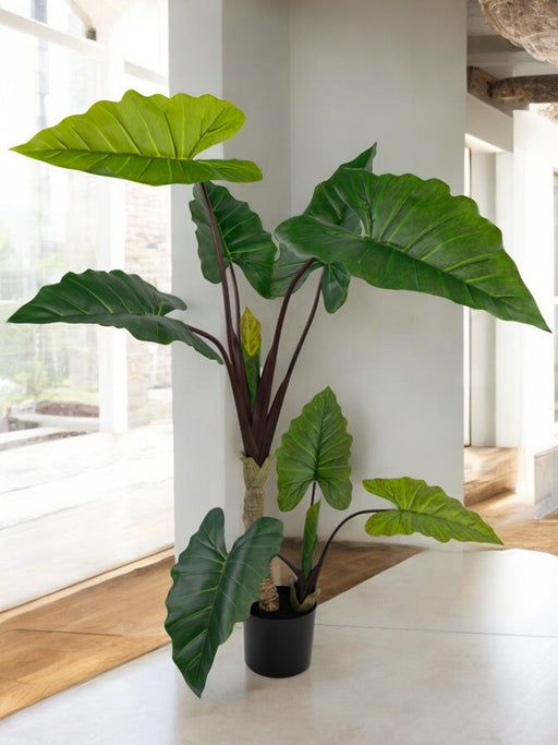 Alocasia - Grande Pianta Artificiale