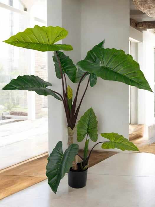 Alocasia - Grande Pianta Artificiale