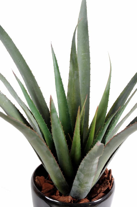 Aloe Ferox Artificiale In Vaso Per Esterno 65 Cm