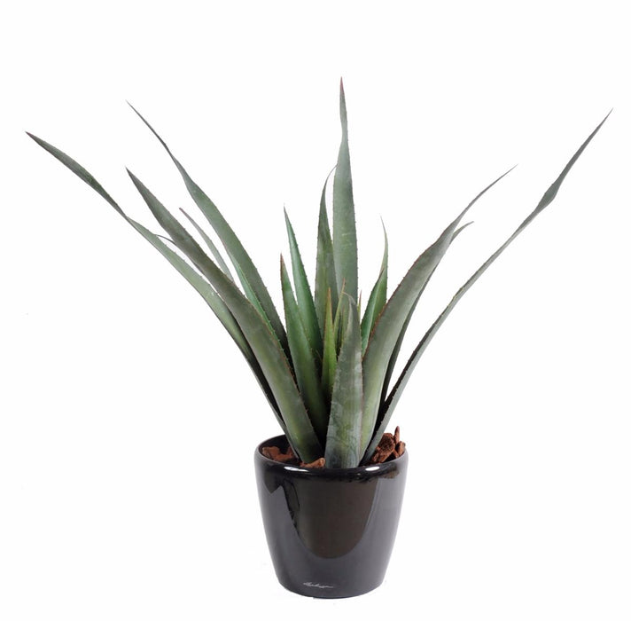 Aloe Ferox Artificiale In Vaso Per Esterno 65 Cm