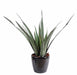 Aloe Ferox Artificiale In Vaso Per Esterno 65 Cm