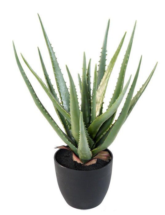 Aloe Vera Artificiale H.48Cm Per Decorazione Interni