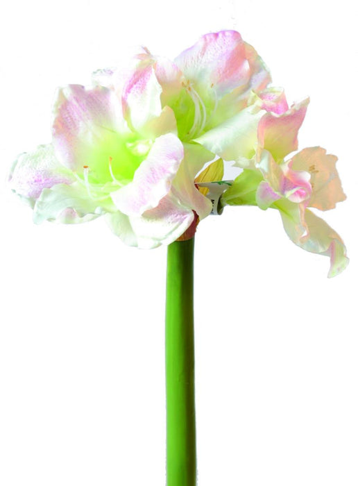 Amaryllis Artificiale 3 Fiori Bianchi 70Cm