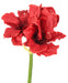 Amaryllis Artificiale Rosso 2 Fiori 1 Bocciolo 66 Cm