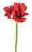 Amaryllis Artificiale Rosso 2 Fiori 1 Bocciolo 66 Cm