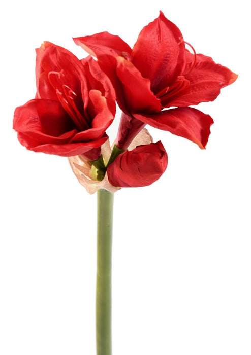 Amaryllis Artificiale Rosso 75Cm Con Stelo