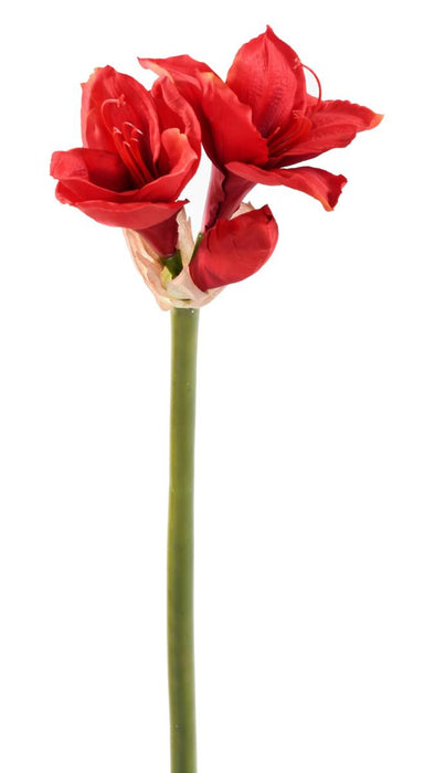 Amaryllis Artificiale Rosso 75Cm Con Stelo