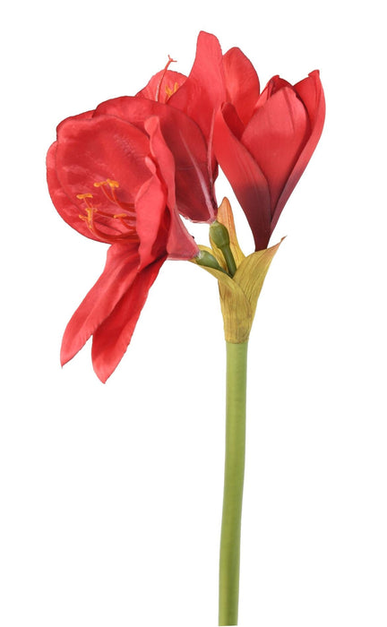 Amaryllis Artificiale Rossa Con Gambo 60 Cm