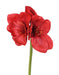 Amaryllis Artificiale Rossa Con Gambo 60 Cm