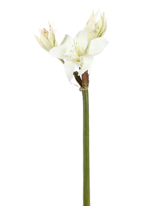 Amaryllis Tropicale Artificiale 1F 2B 60Cm