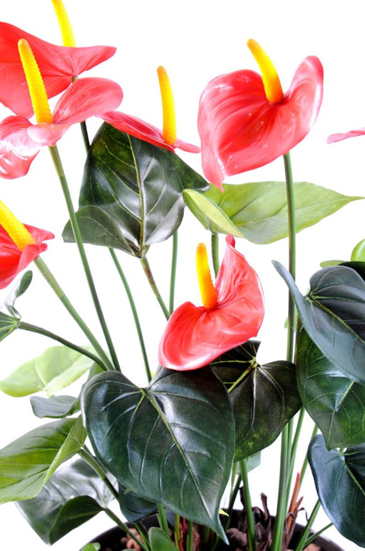 Anthurium Artificiale In Vaso Rosso Decorazione Interni 50Cm