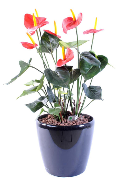 Anthurium Artificiale In Vaso Rosso Decorazione Interni 50Cm
