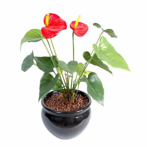 Pianta Da Interno Artificiale Anthurium Rosso 45 Cm