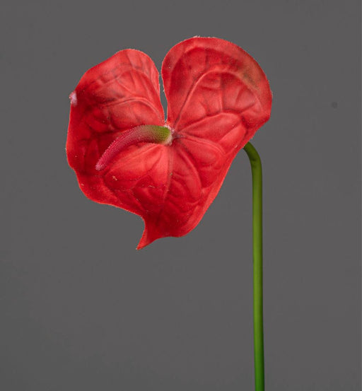 Anthurium Artificiale Stelo Rosso 66 Cm Decorazione Floreale
