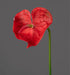 Anthurium Artificiale Stelo Rosso 66 Cm Decorazione Floreale