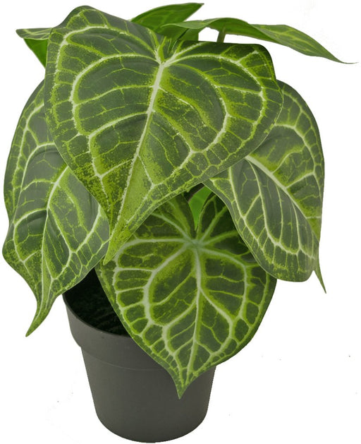 Anthurium - Pianta Verde Artificiale