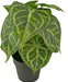 Anthurium - Pianta Verde Artificiale