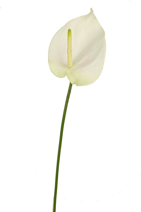Anthurium Artificiale Bianco